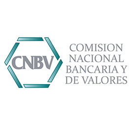 Logo Cnbv
